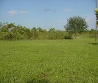 Land for lease 